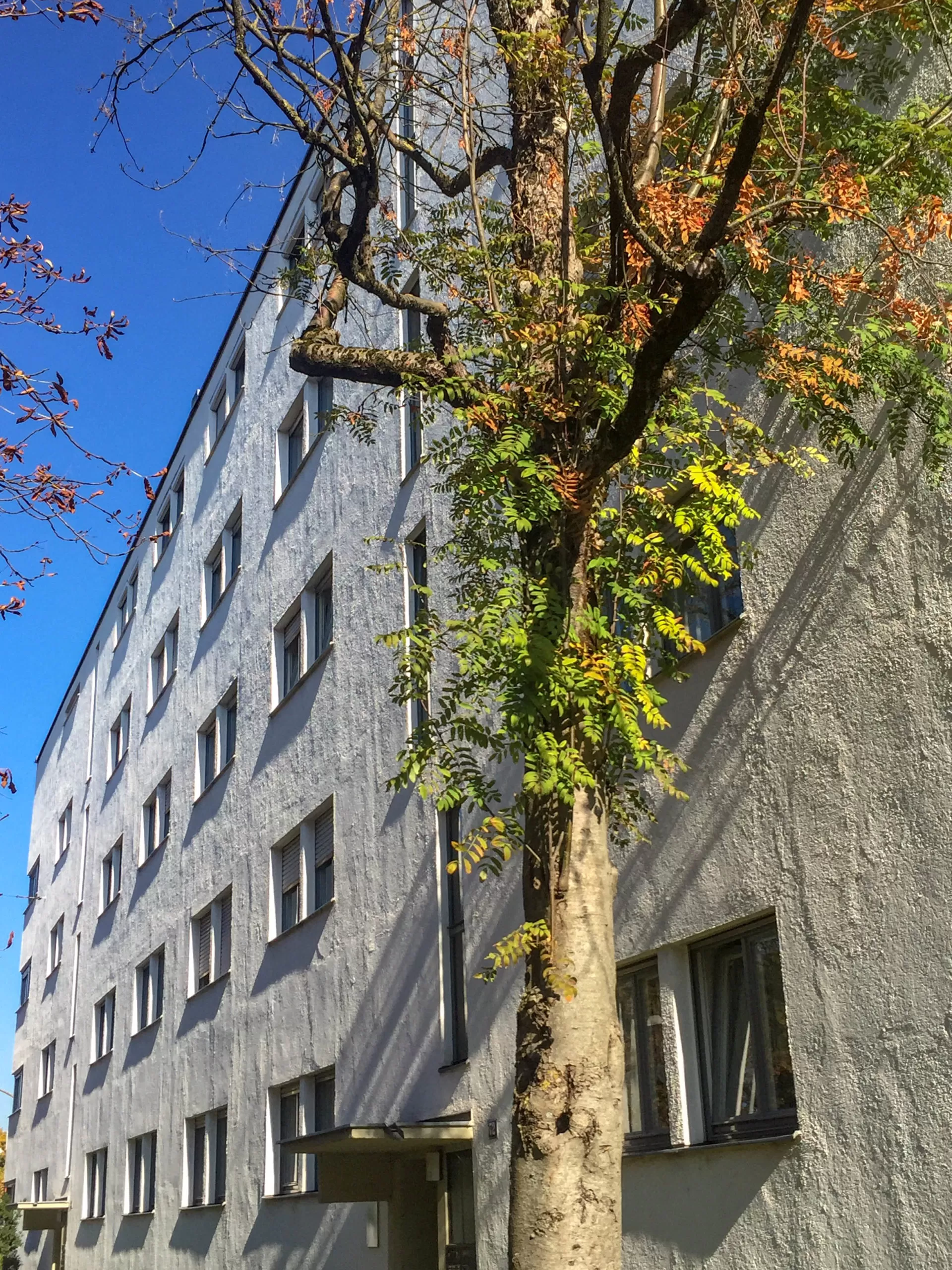 Wohnanlage Lessinghof, 1930-931. Architekt: Thomas Wechs