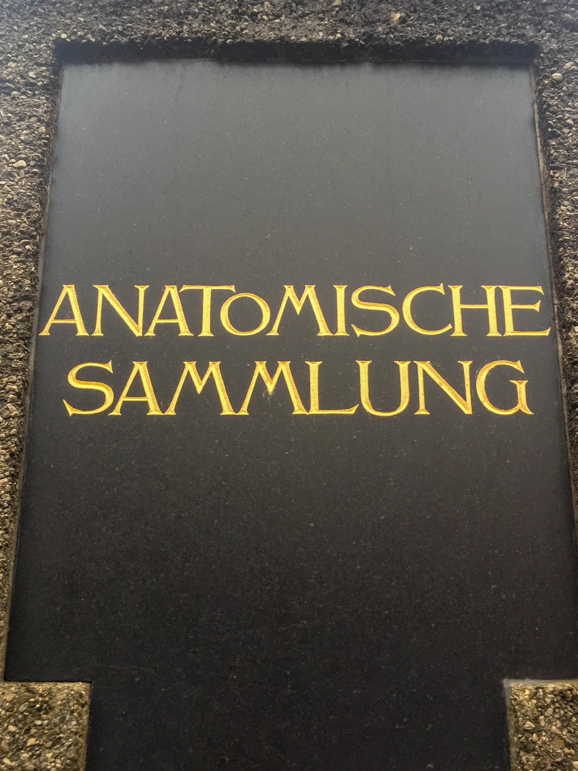 Anatomische Anstalt der Ludwig-Maximilians-Universität, 1905-1907. Architekt: Max Littmann