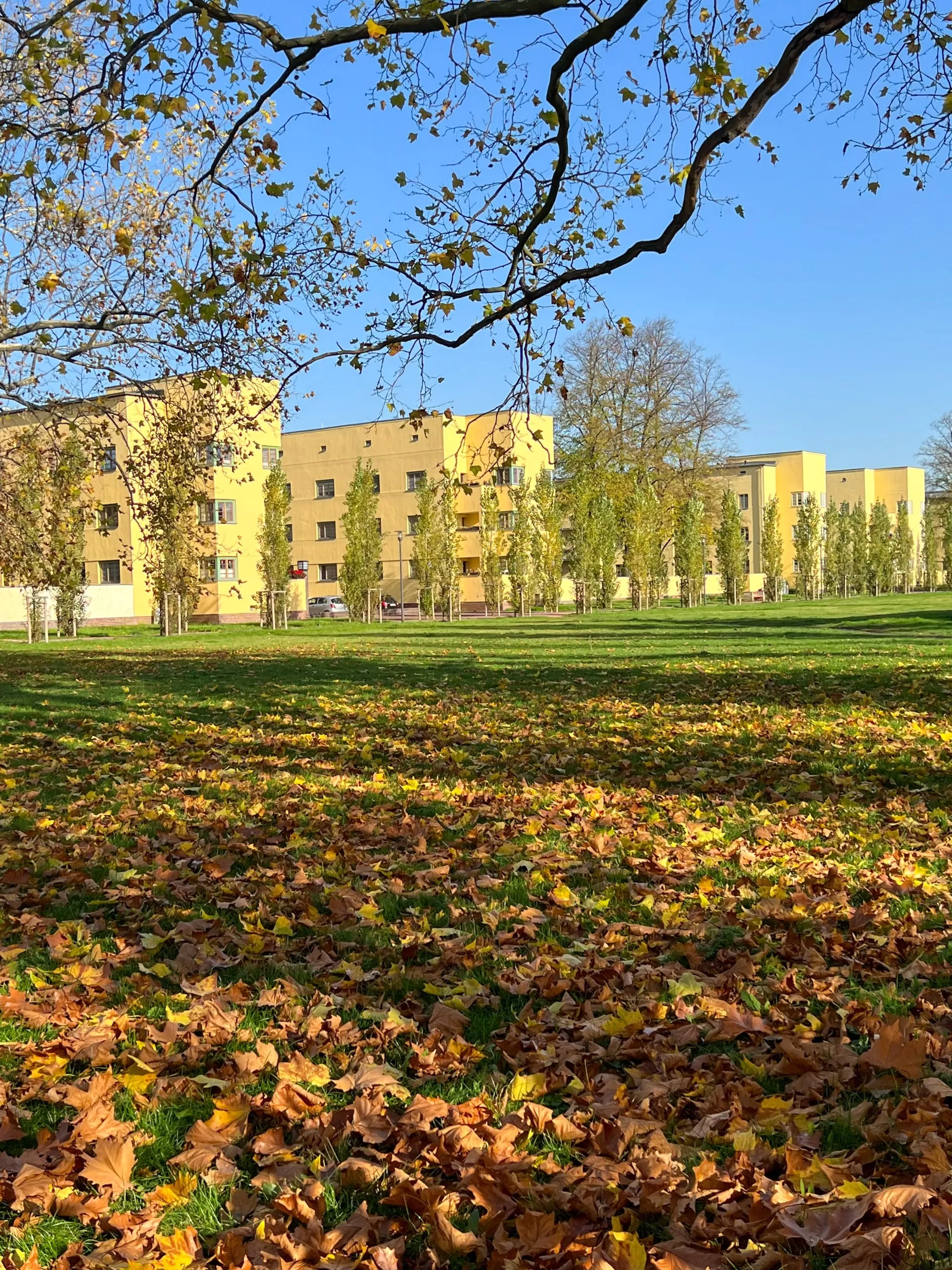 Hermann-Beims-Siedlung, 1925-1931. Architects: Johannes Göderitz ( head), Konrad Rühl, Gerhard Gauger, Willy Zabel, Adolf Otto. Photo: Daniela Christmann