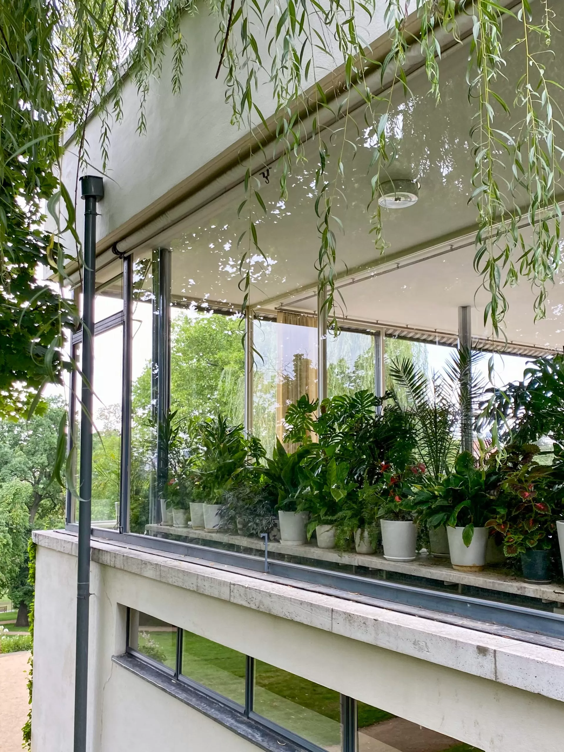 Haus Tugendhat, 1928-1930. Architekt: Ludwig Mies van der Rohe. Foto: Daniela Christmann