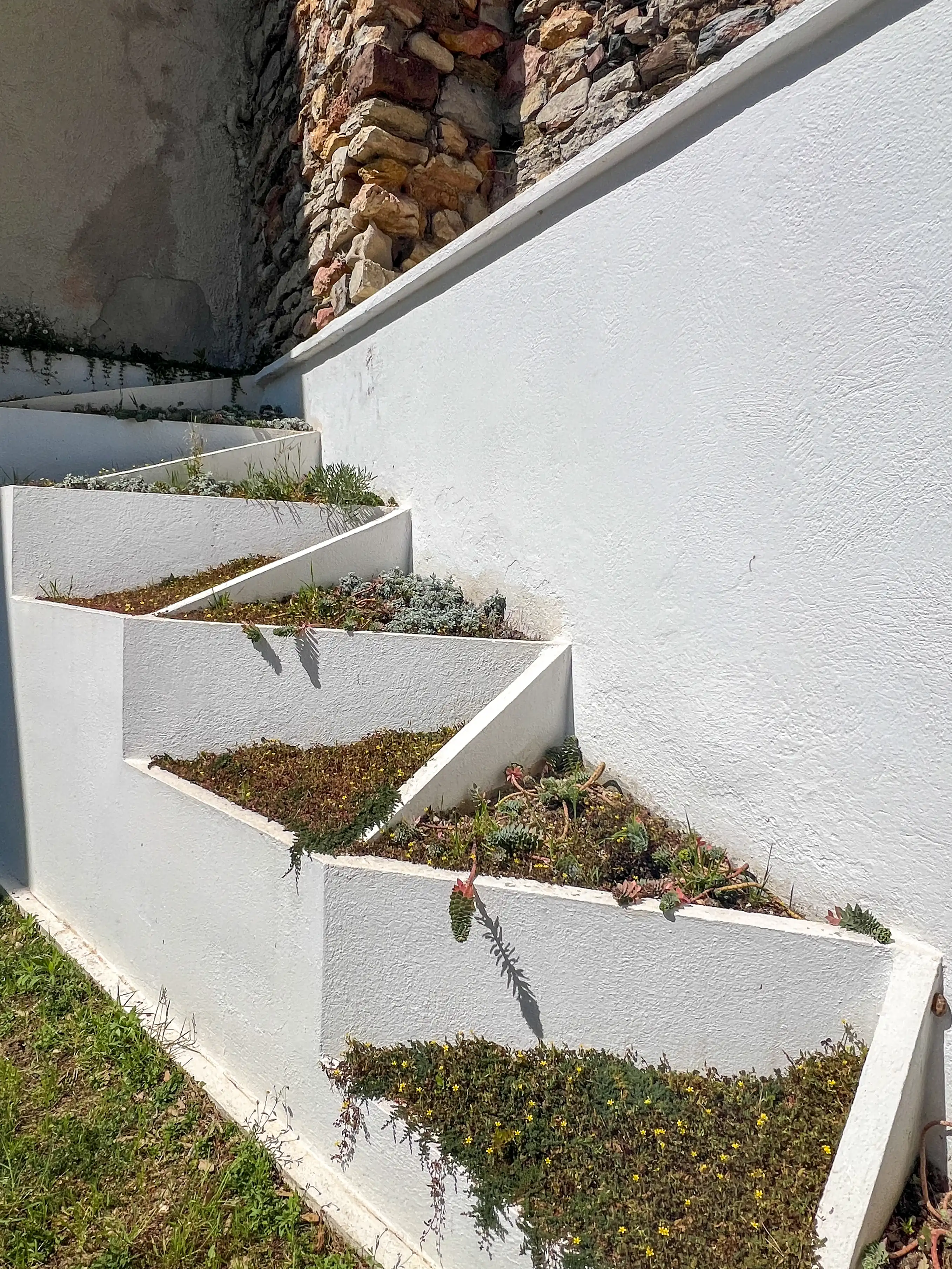 Kubistischer Garten, Villa Noailles. Foto: Daniela Christmann