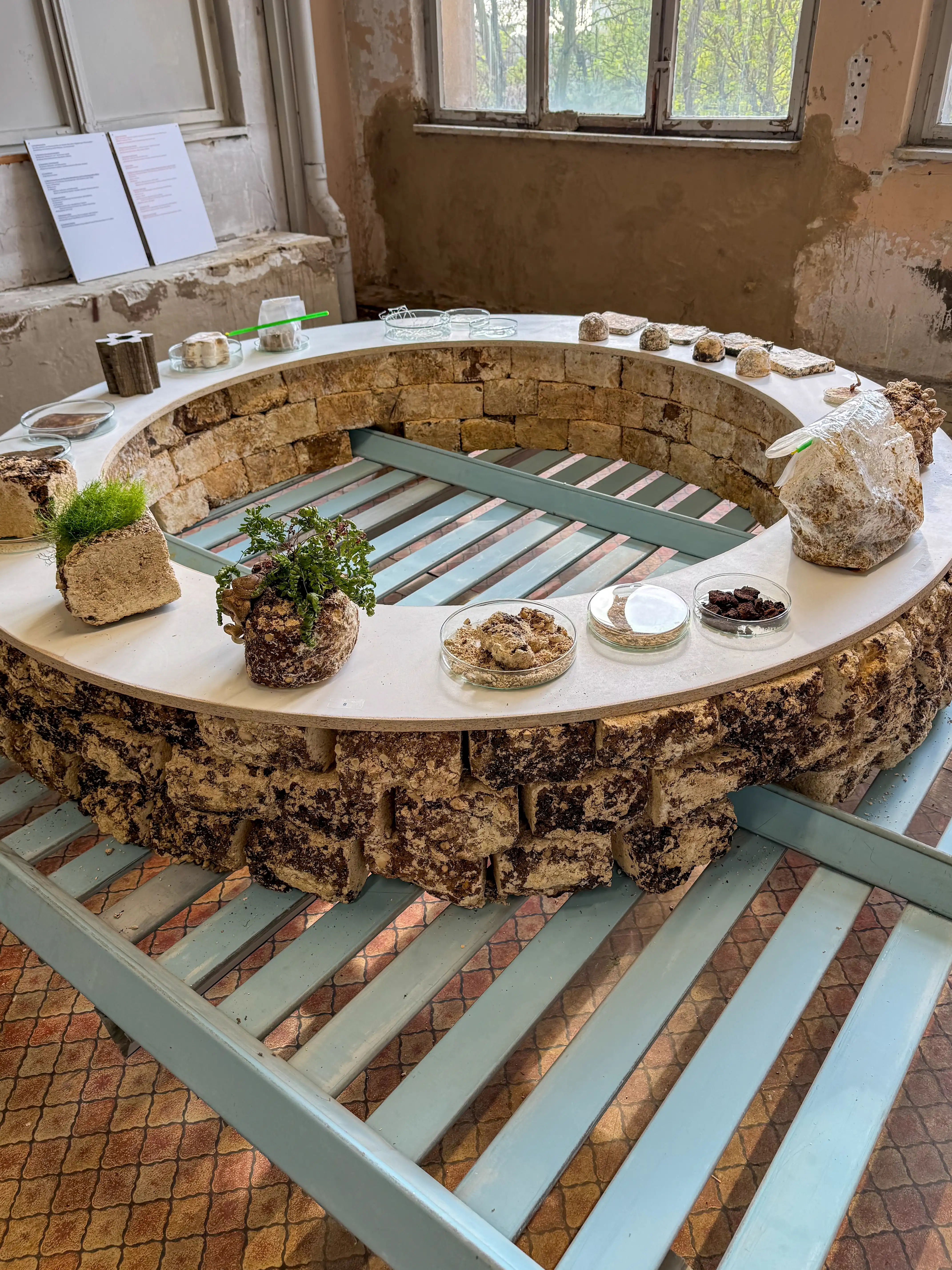 Ausstellung 'Algen I Schutt I CO2' im ehemaligen Kaufhaus Zeeck Dessau. Foto: Daniela Christmann